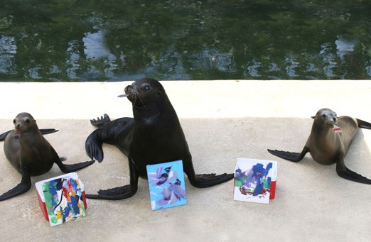 09-Paint-with-the-Sea-Lion-at-Theater-Of-the-Sea!