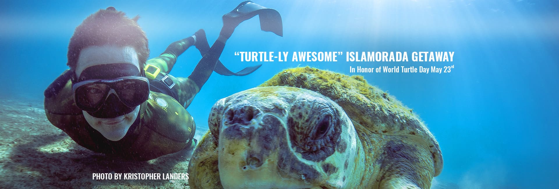 GHO Win Turtle