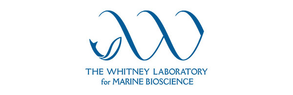 Whitney lab