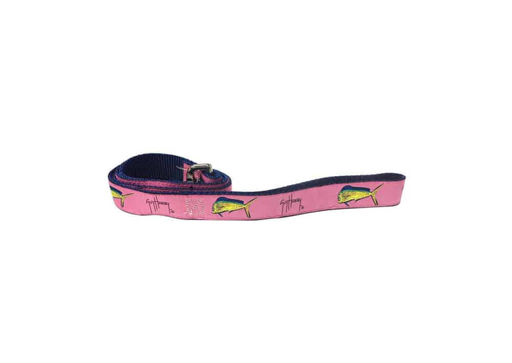 Dog Leashes And Collars