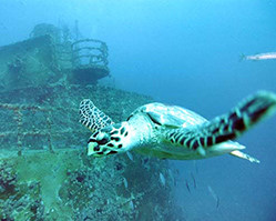 FL Keys Wrecks