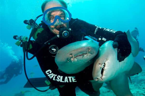 Pro Team Dive
