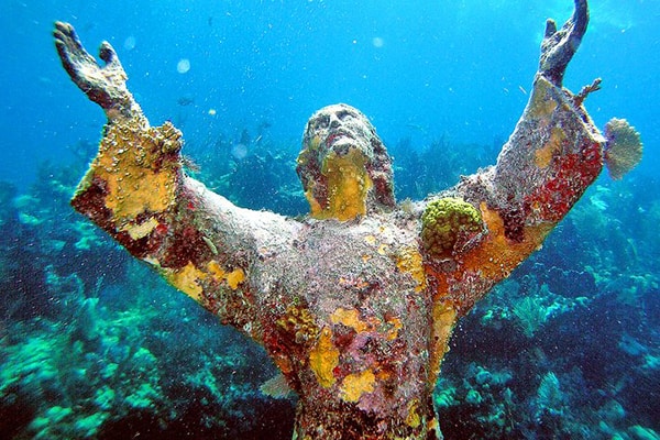 Snorkel & Dive