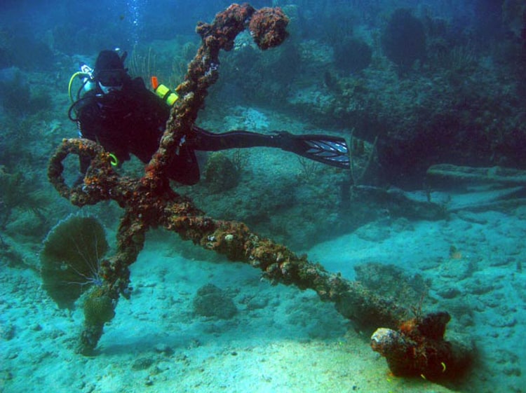 Dive Trips