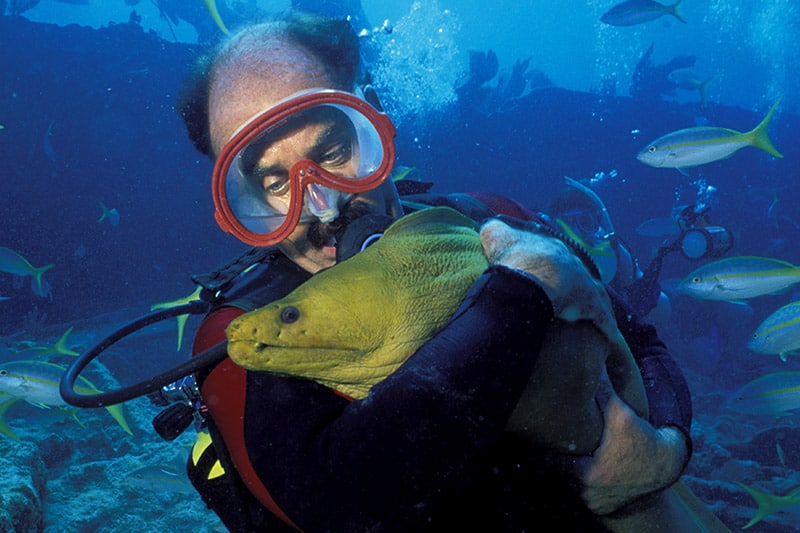 DIVE TRIPS