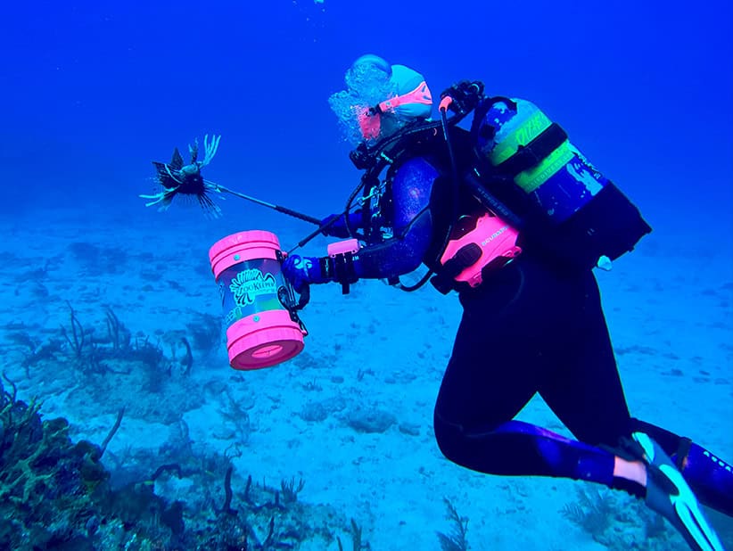 Operation Lionfish - Time To Hunt